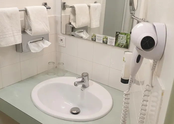 Logis L'auberge Bourbonnaise 3* Saint-Yorre